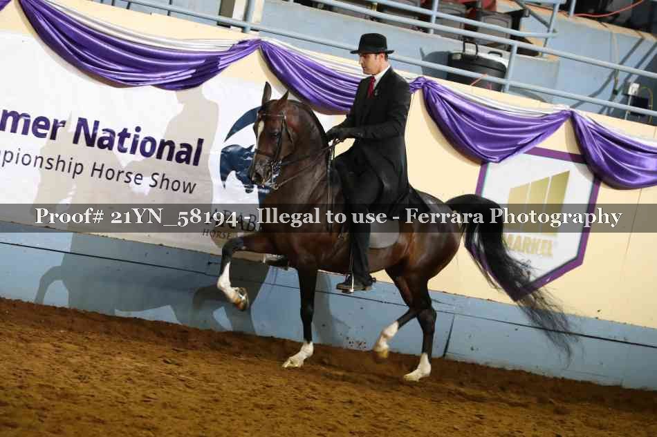 Proof 21YN_58194