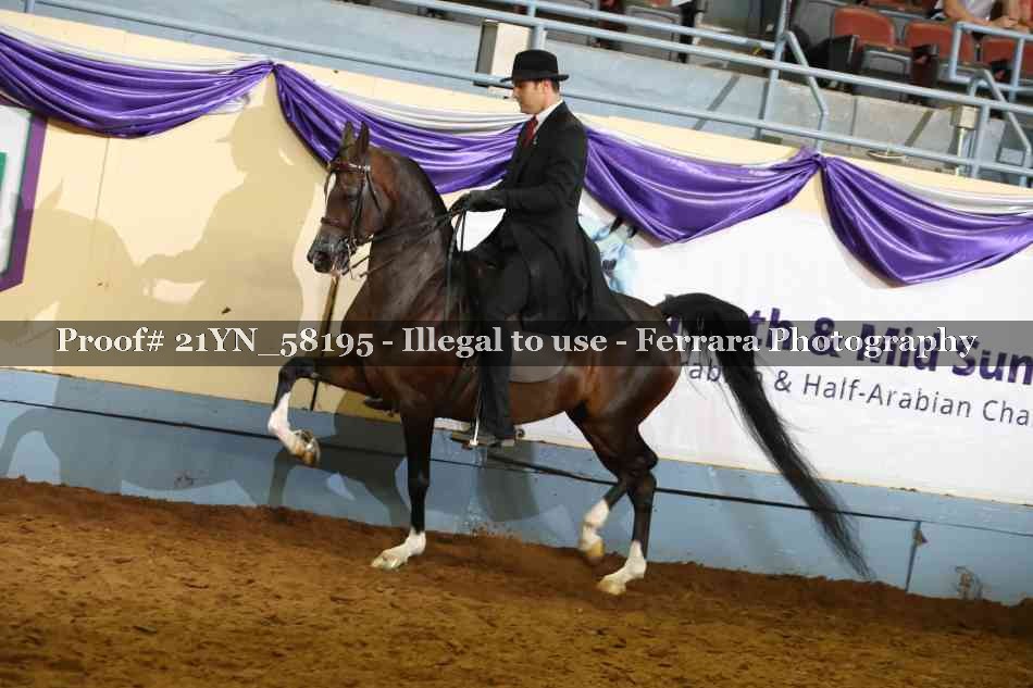 Proof 21YN_58195