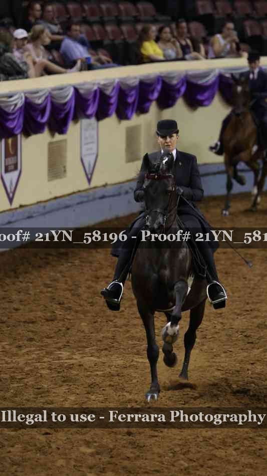 Proof 21YN_58196