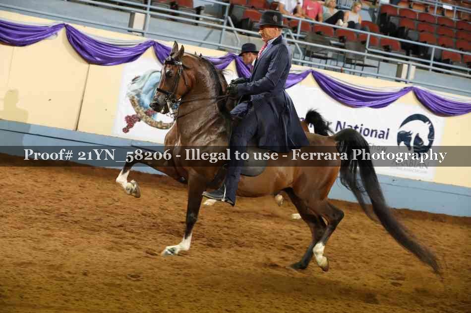 Proof 21YN_58206
