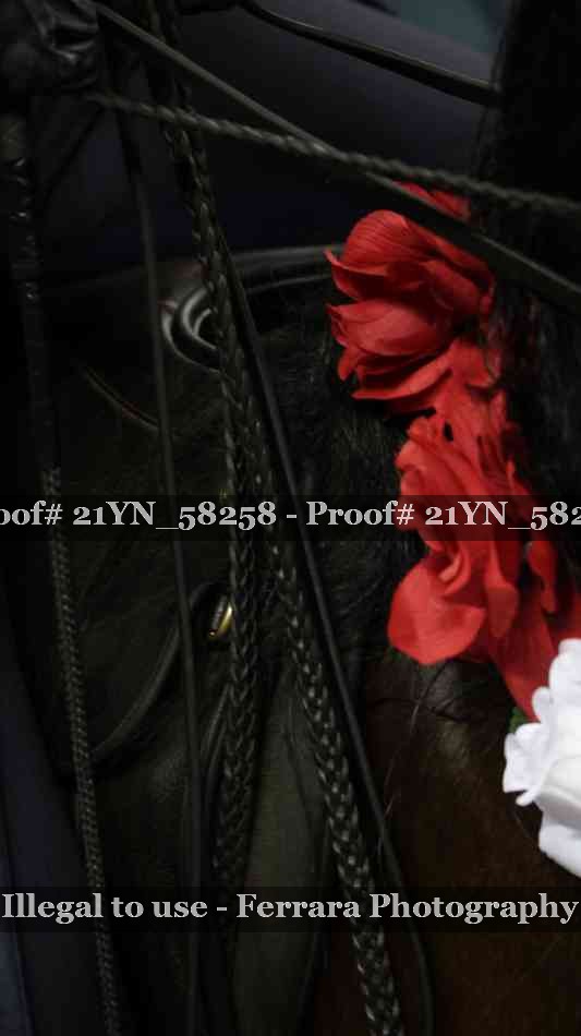 Proof 21YN_58258