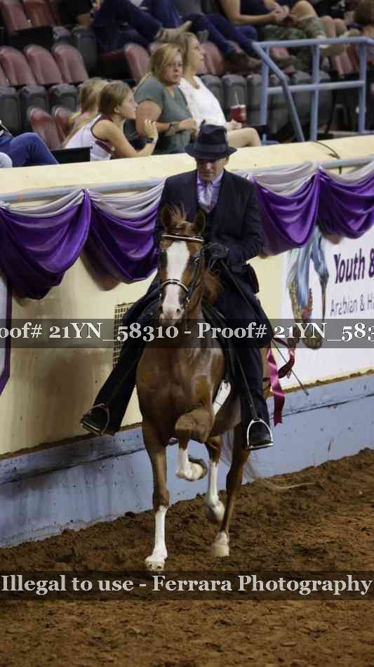 Proof 21YN_58310