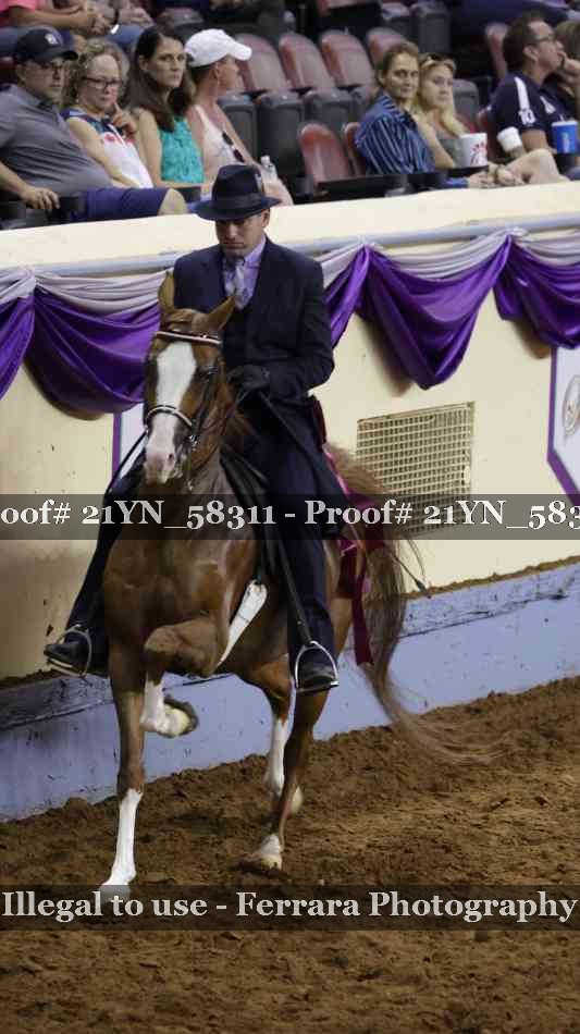 Proof 21YN_58311