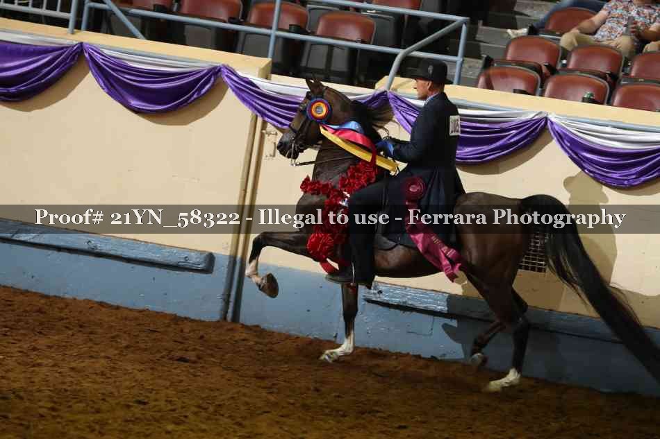 Proof 21YN_58322