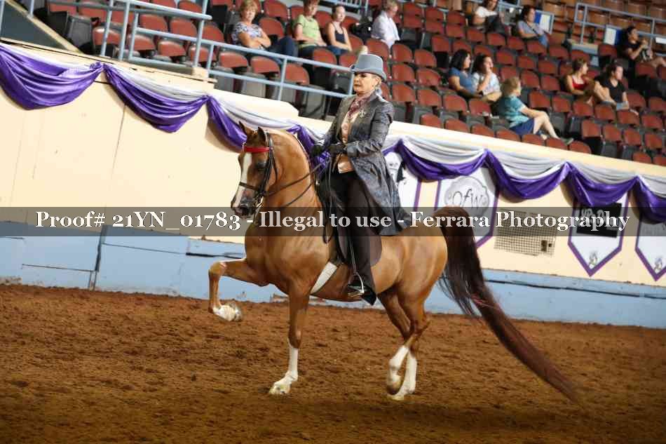 Proof 21YN_01783