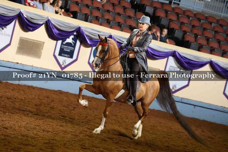 Proof 21YN_01785