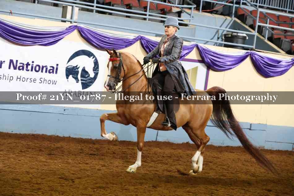 Proof 21YN_01787