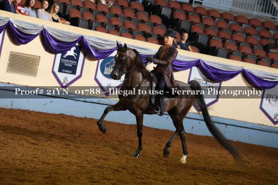 Proof 21YN_01788