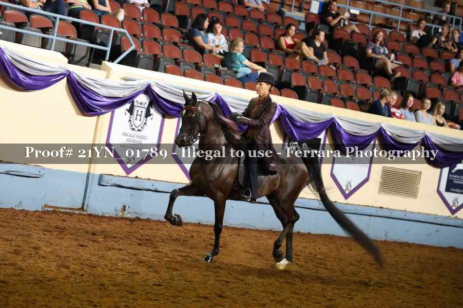 Proof 21YN_01789
