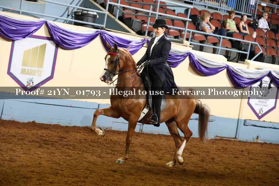 Proof 21YN_01793