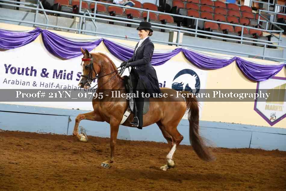 Proof 21YN_01795