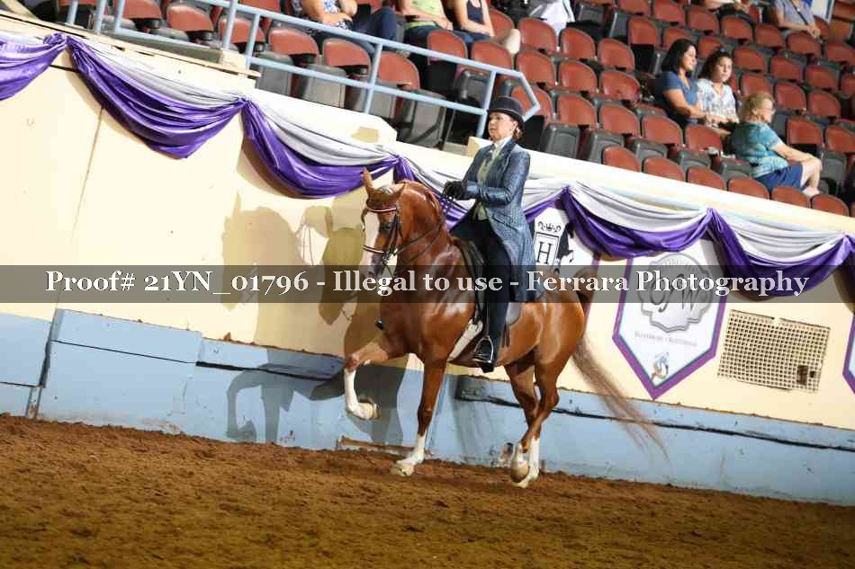 Proof 21YN_01796