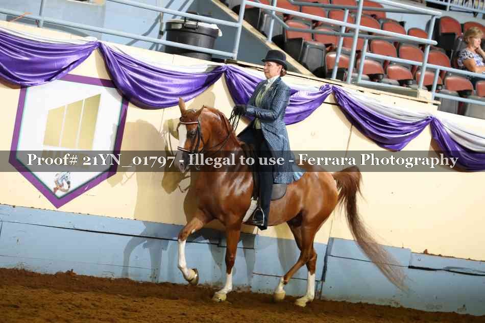 Proof 21YN_01797
