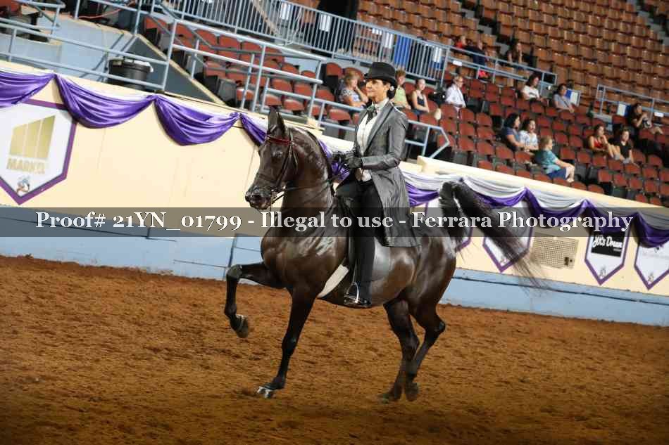 Proof 21YN_01799