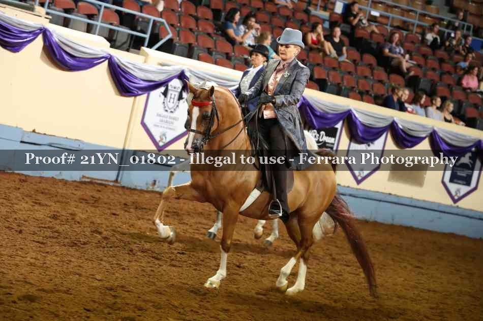 Proof 21YN_01802