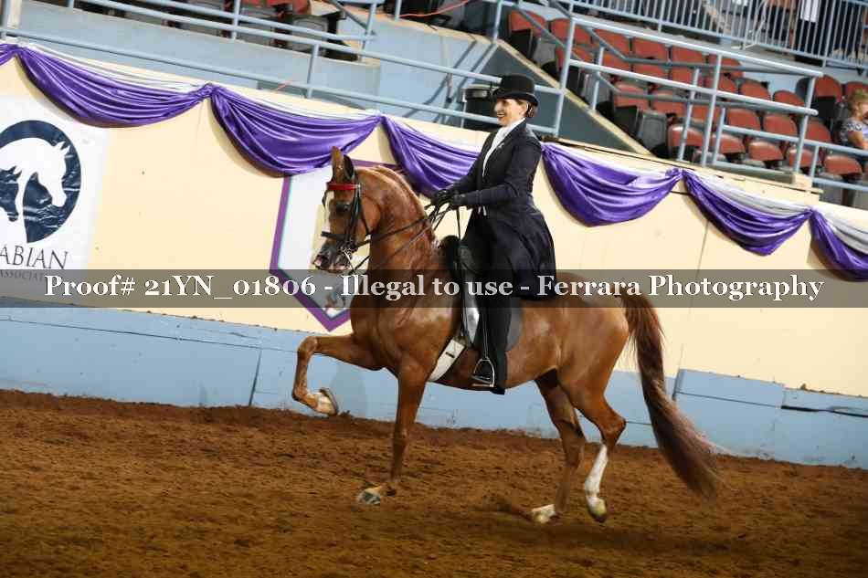 Proof 21YN_01806