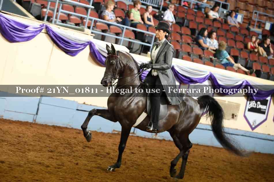 Proof 21YN_01811