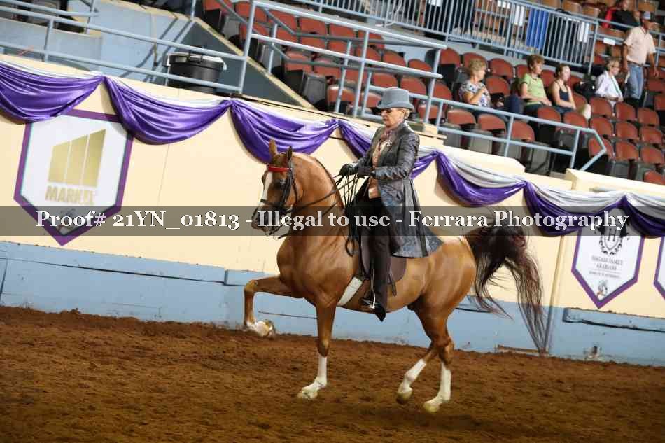Proof 21YN_01813