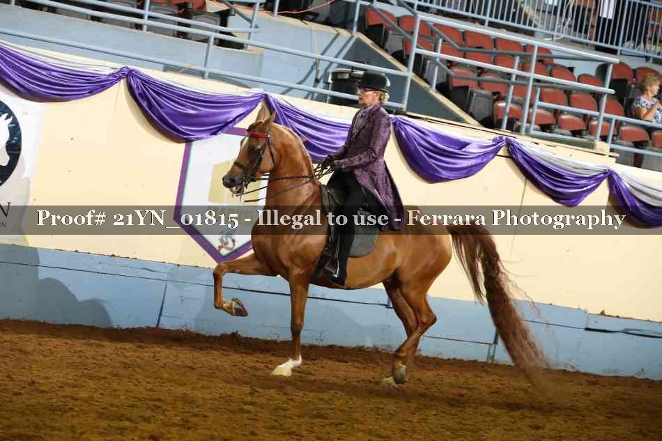 Proof 21YN_01815