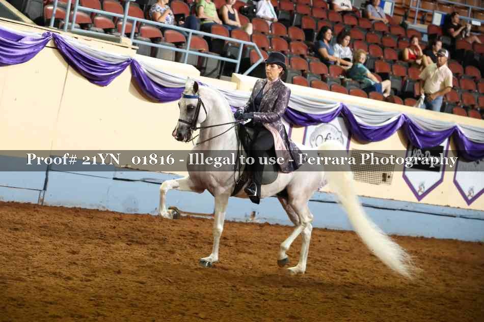 Proof 21YN_01816