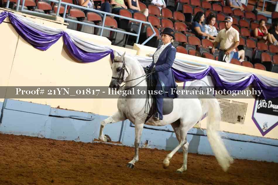 Proof 21YN_01817