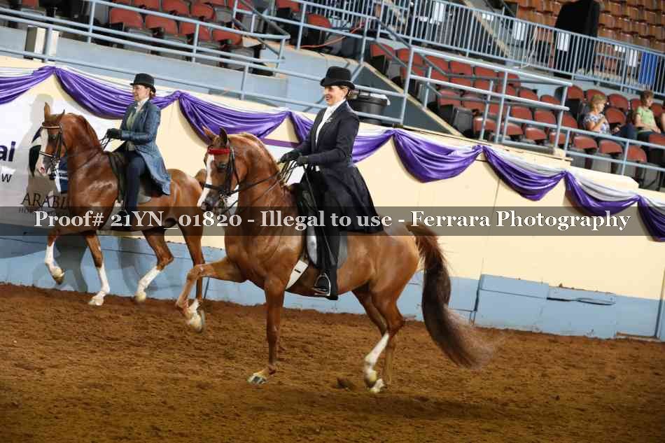 Proof 21YN_01820