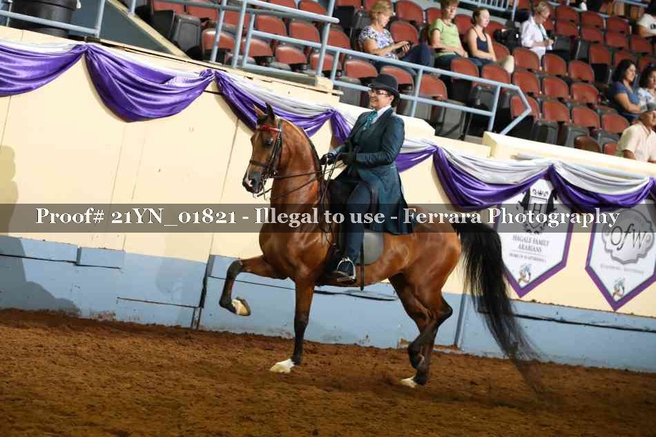 Proof 21YN_01821