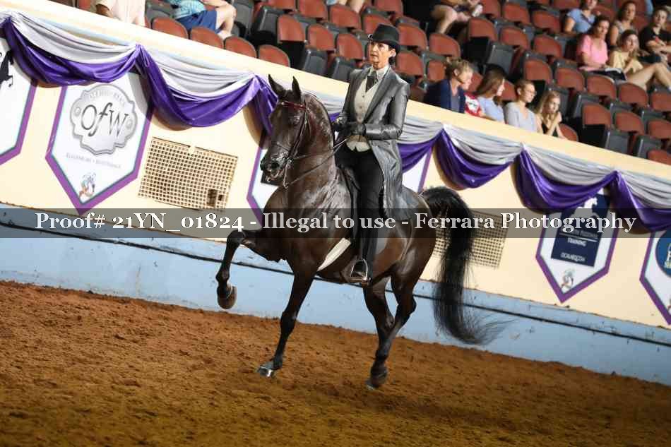 Proof 21YN_01824