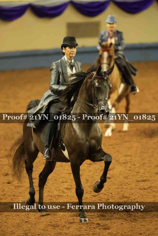 Proof 21YN_01825