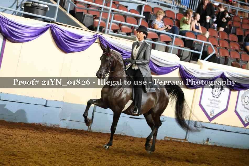 Proof 21YN_01826
