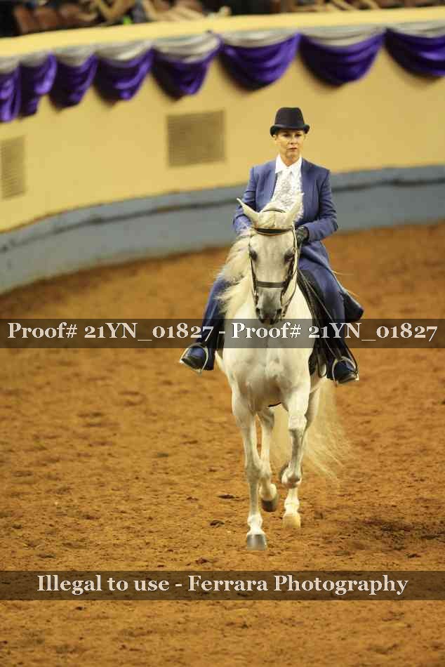 Proof 21YN_01827