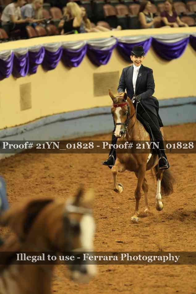 Proof 21YN_01828