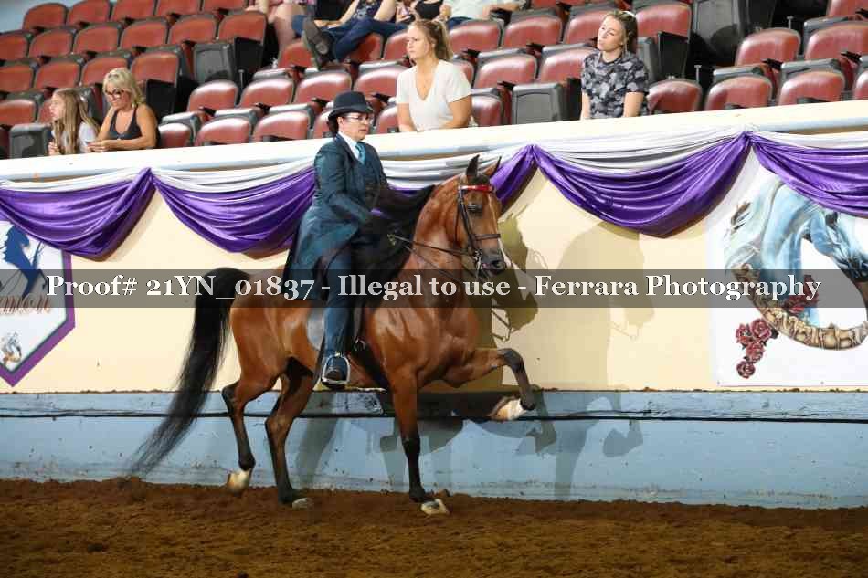Proof 21YN_01837