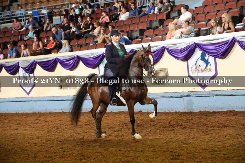 Proof 21YN_01838