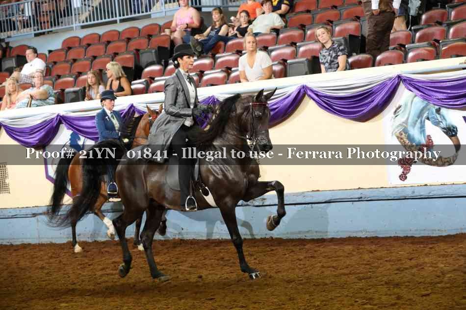 Proof 21YN_01841