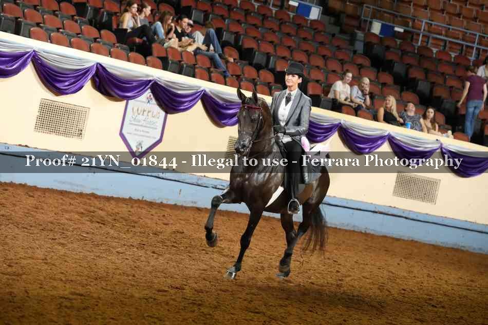 Proof 21YN_01844