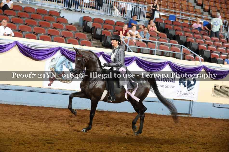 Proof 21YN_01846