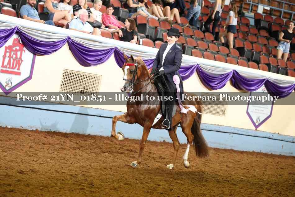 Proof 21YN_01851