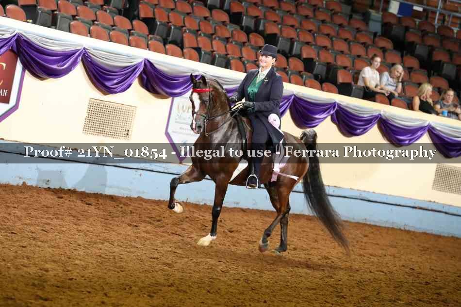 Proof 21YN_01854