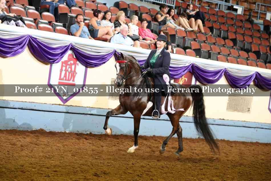 Proof 21YN_01855