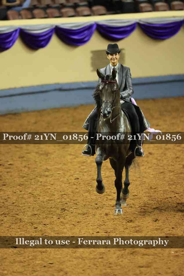 Proof 21YN_01856