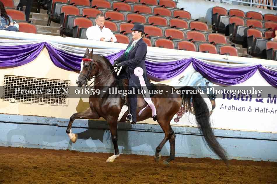 Proof 21YN_01859