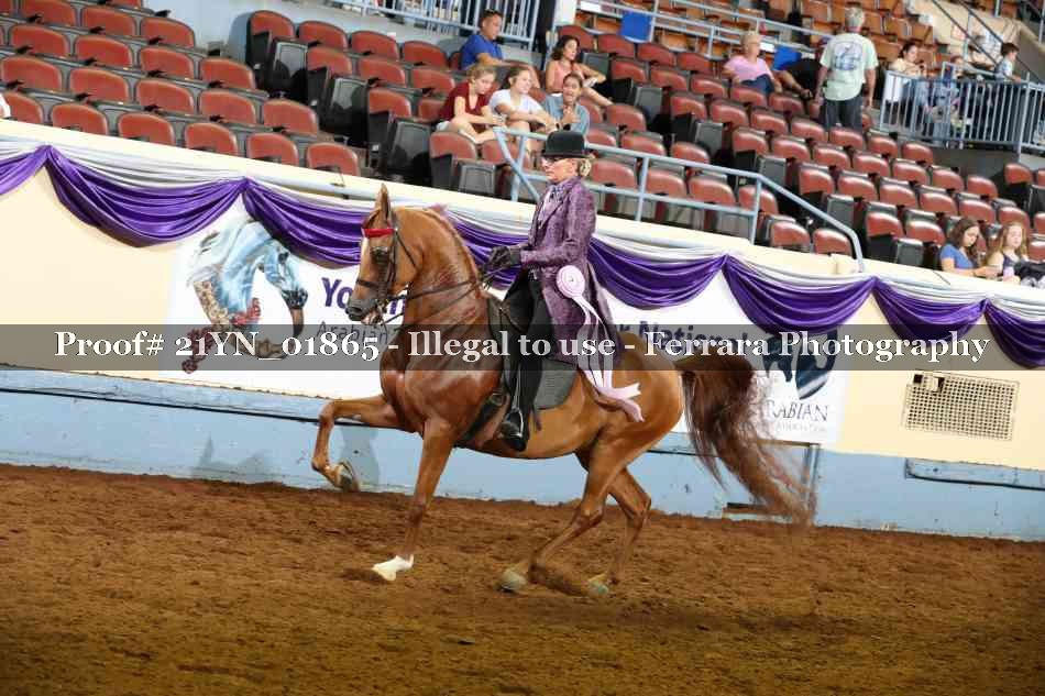Proof 21YN_01865