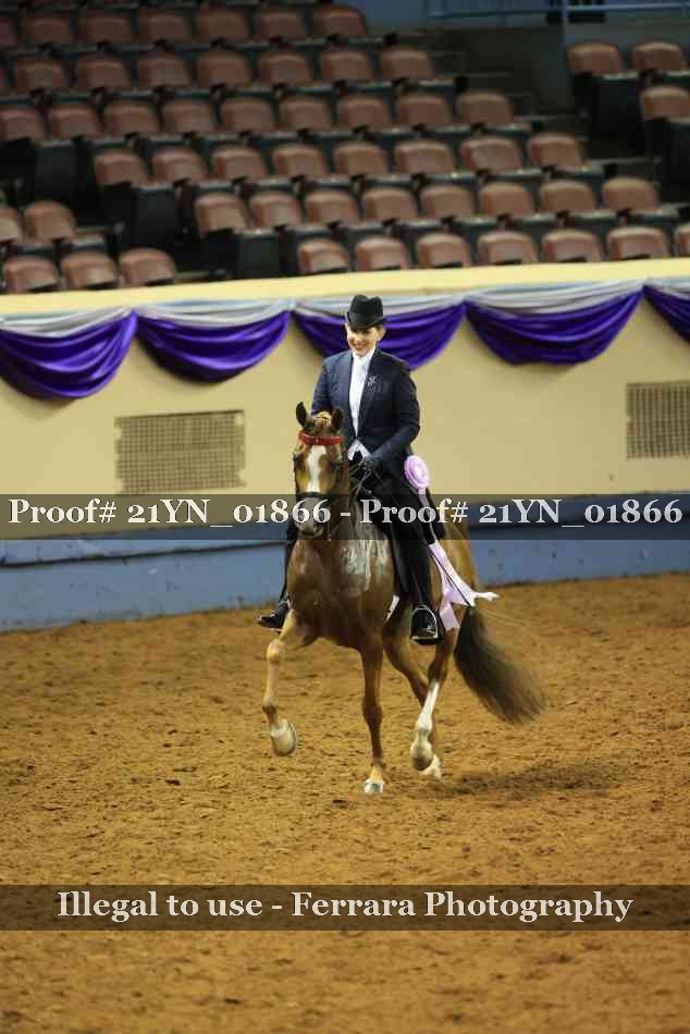 Proof 21YN_01866