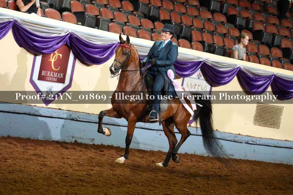 Proof 21YN_01869