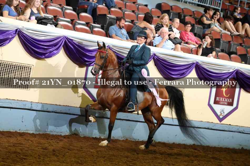 Proof 21YN_01870