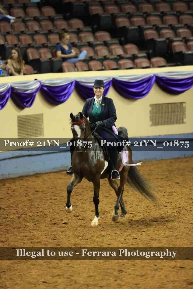 Proof 21YN_01875