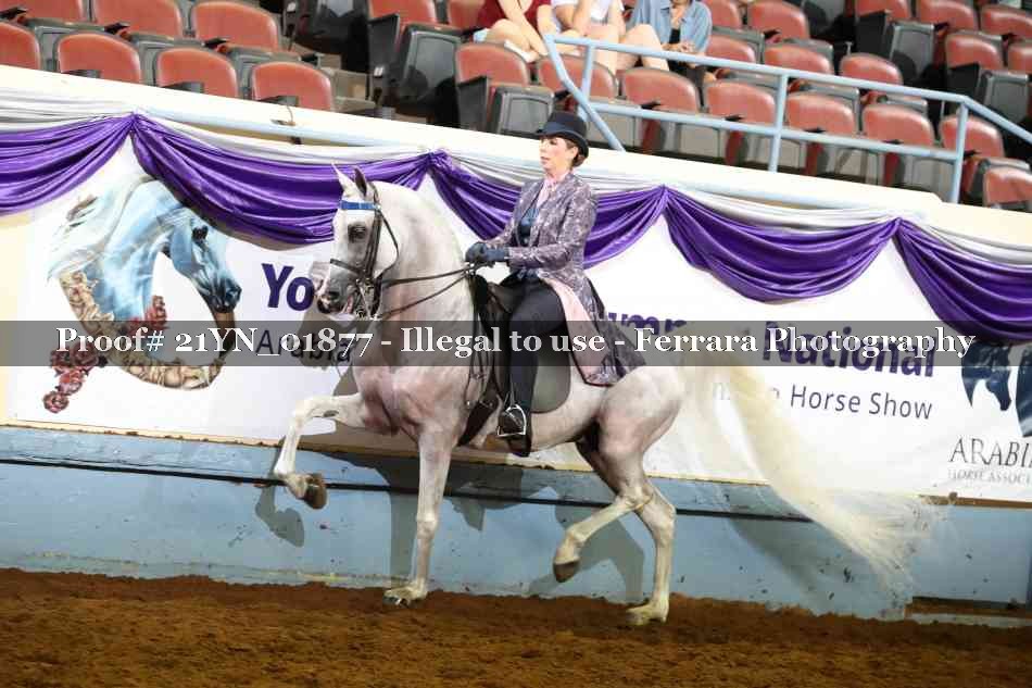 Proof 21YN_01877