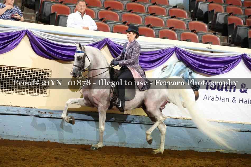 Proof 21YN_01878