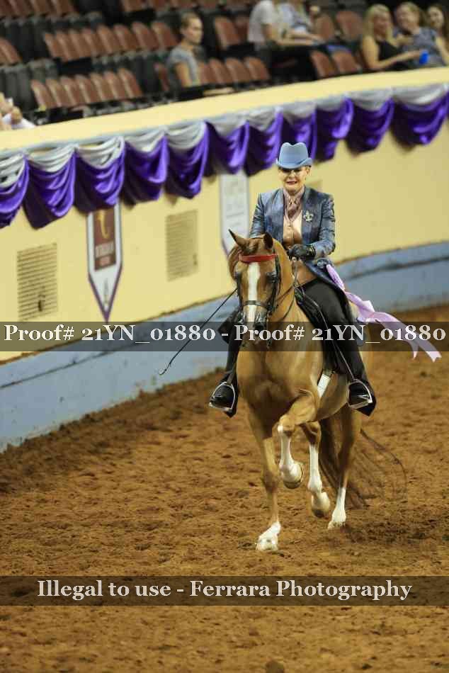 Proof 21YN_01880